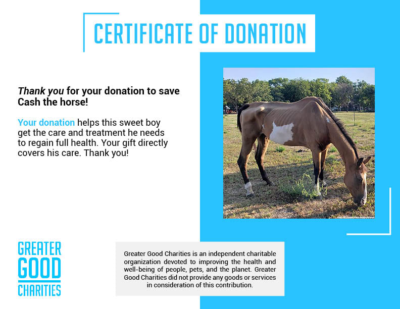 Funded - Save Emaciated Horse Named Cash