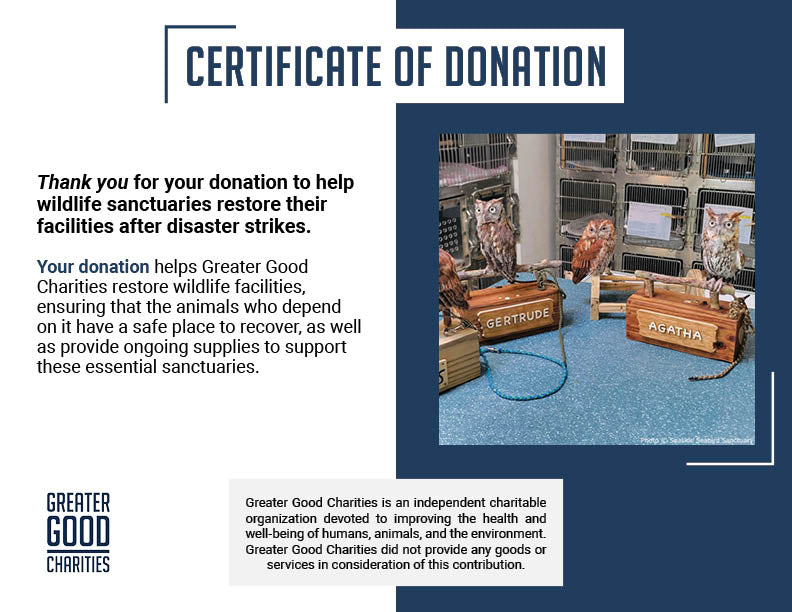 Help Renovate Wildlife Clinics and Sanctuaries