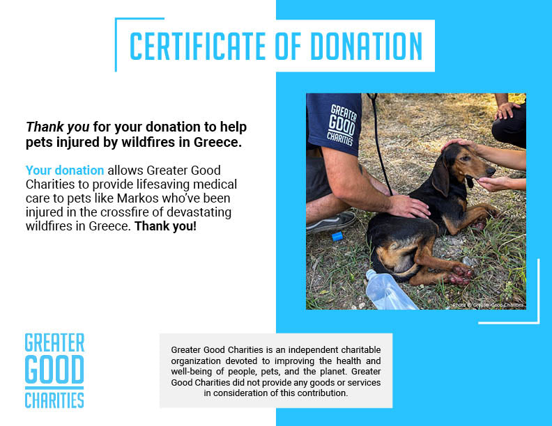 Pets Burned & Injured in Devastating Wildfires in Greece Need Your Help