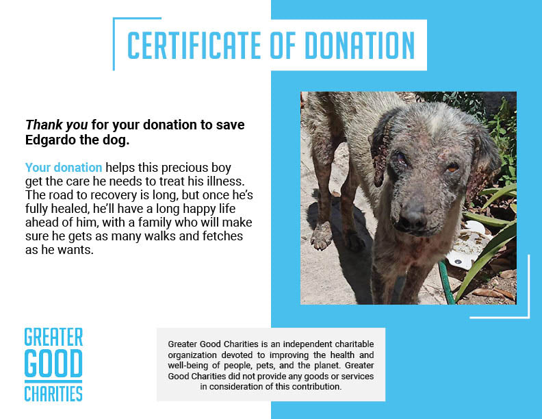 Funded: Help Edgardo Recover from Malnourishment and Mange