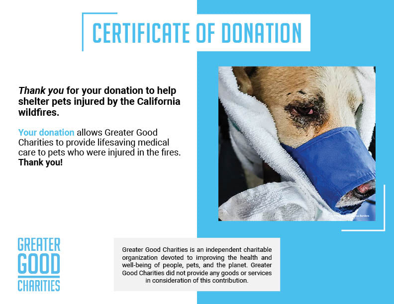 Urgent: Provide Emergency Medical Care to Pets Injured by Deadly Wildfires