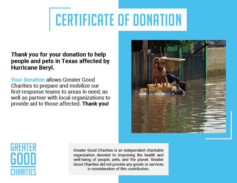 Help People and Pets Affected by Hurricane Beryl