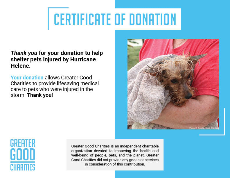 URGENT: Help Pets Injured by Hurricane Helene