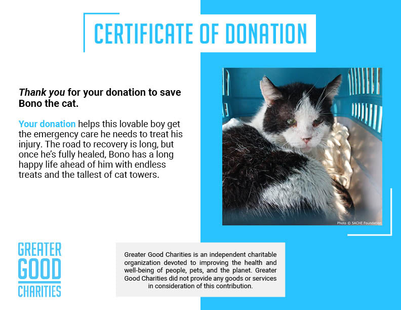 Funded: Save Bono's Leg After Brutal Cat Trap Injury