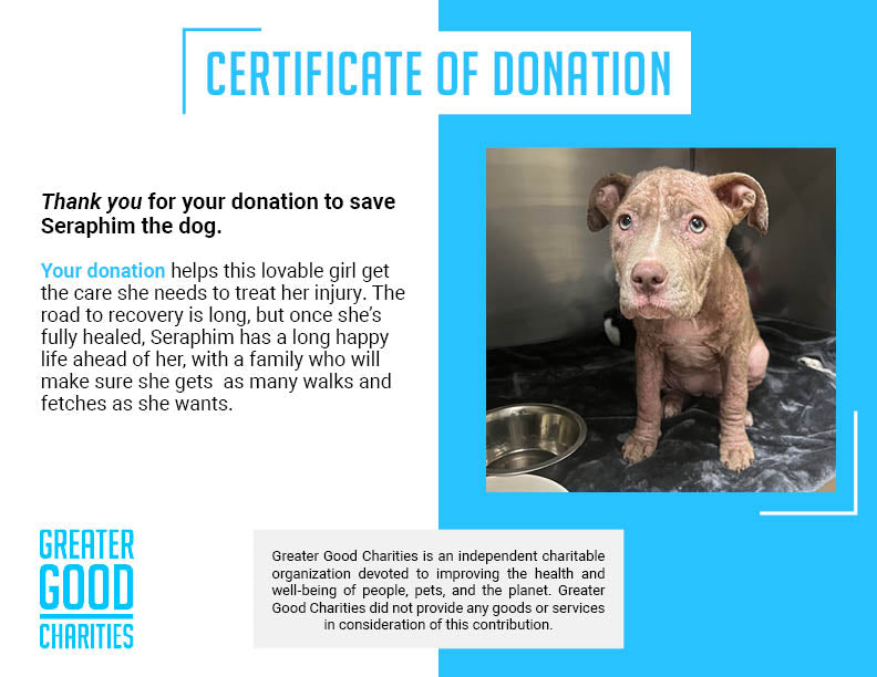 Funded - Save Seraphim's Skin From Mange