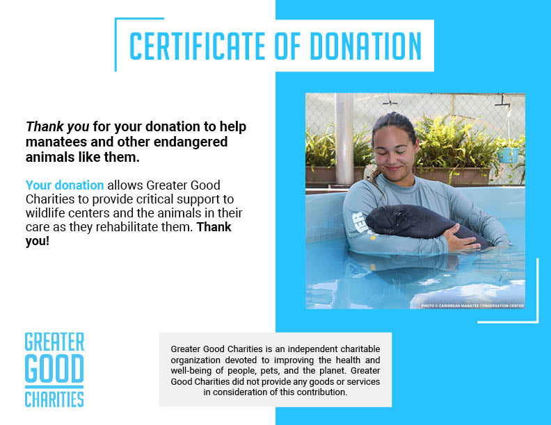 Help Feed and Care for Orphaned and Injured Manatees