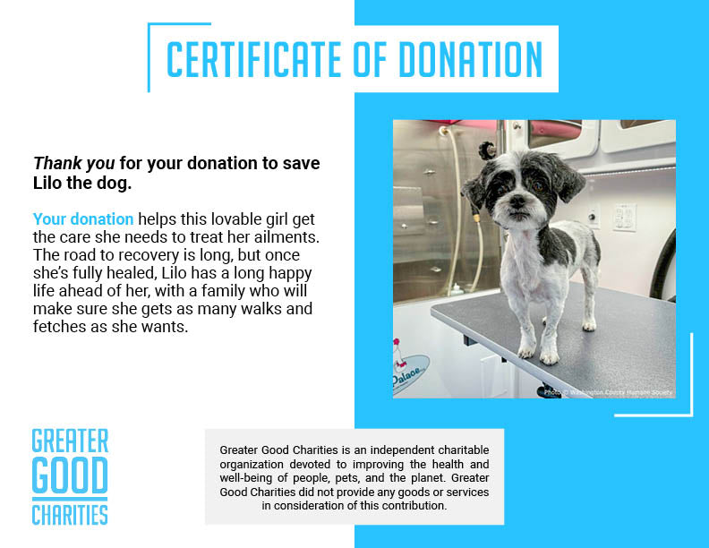 Lilo is Suffering with Painful Bladder Tear and Needs Life-Saving Procedure