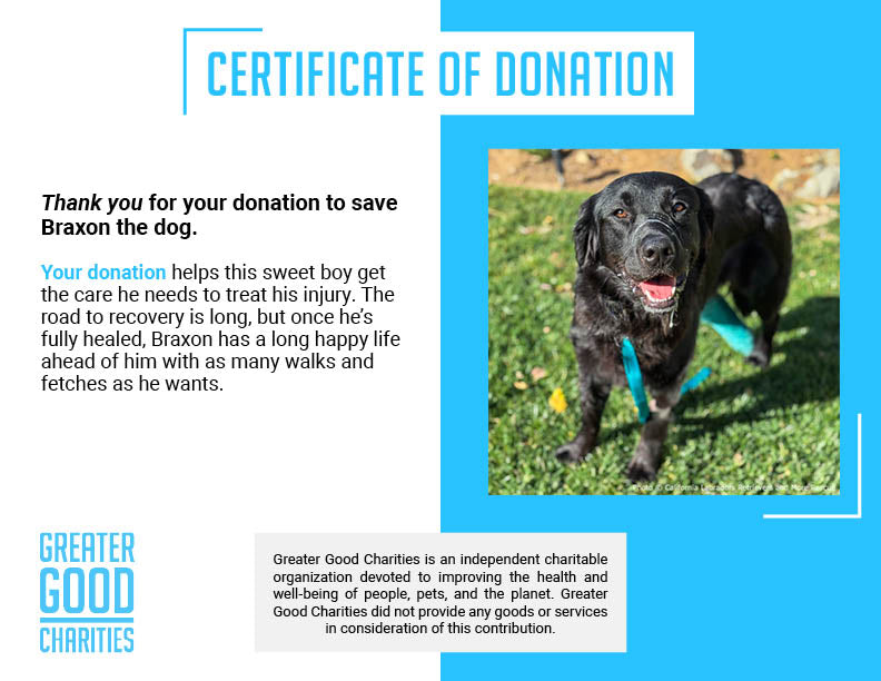 Funded: Braxon Was Found on Side of Road with Shattered Leg, Help Him Heal