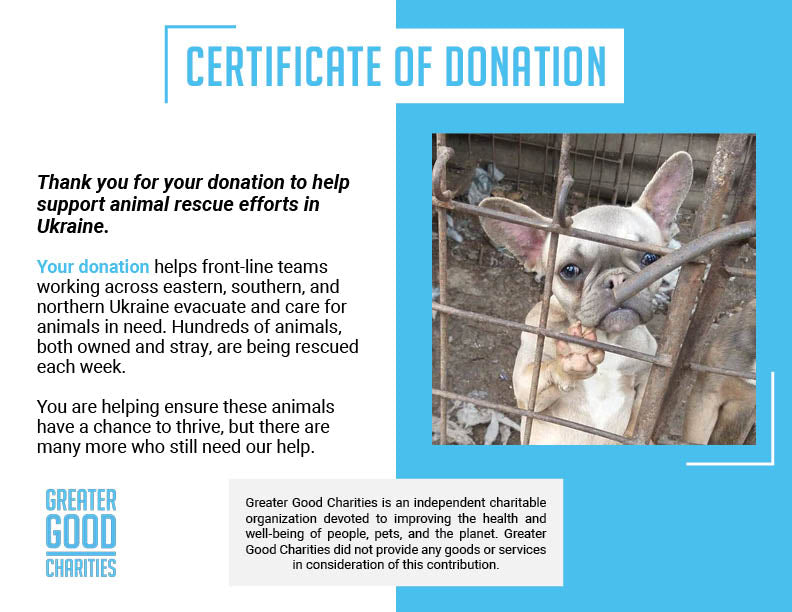 Provide Care for 54 Dogs Rescued from Horrifying Breeding Farm