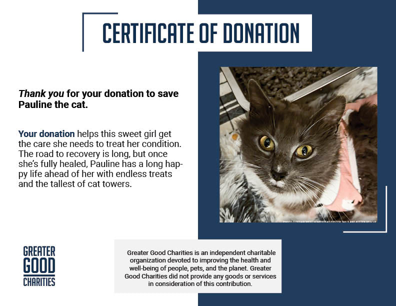 Pauline Needs Your Help After a Difficult Delivery