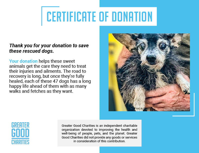 153 Animals Rescued From Hoarding Horrors Are Now Fighting for Their Lives