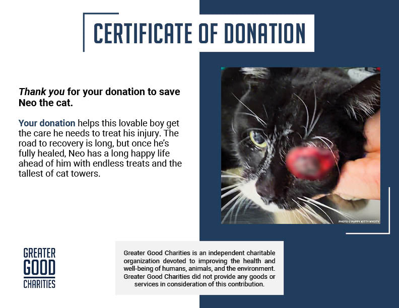 Neo with Painful Protruding Eye Needs Emergency Surgery