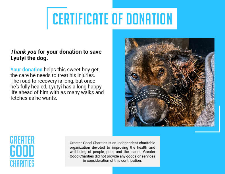 Funded: Severely Wounded Ukraine Dog Going Into Shock Needs Your Help to Survive