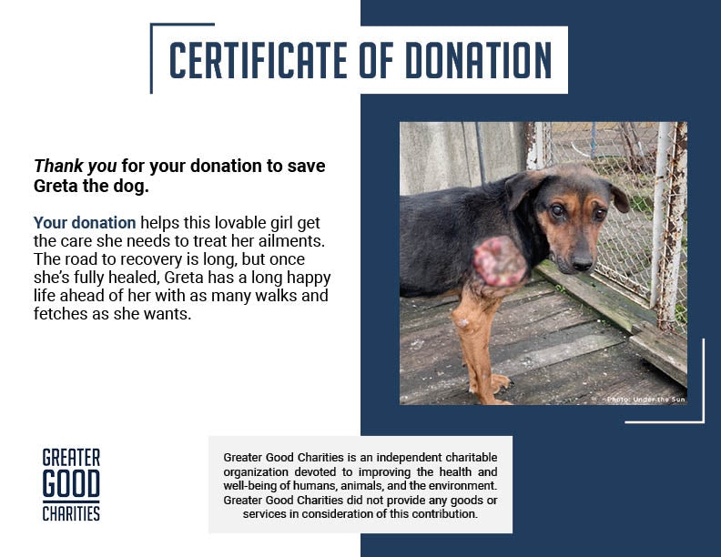 Skinny Ukraine Dog With Life-Threatening Tumors Needs Your Support