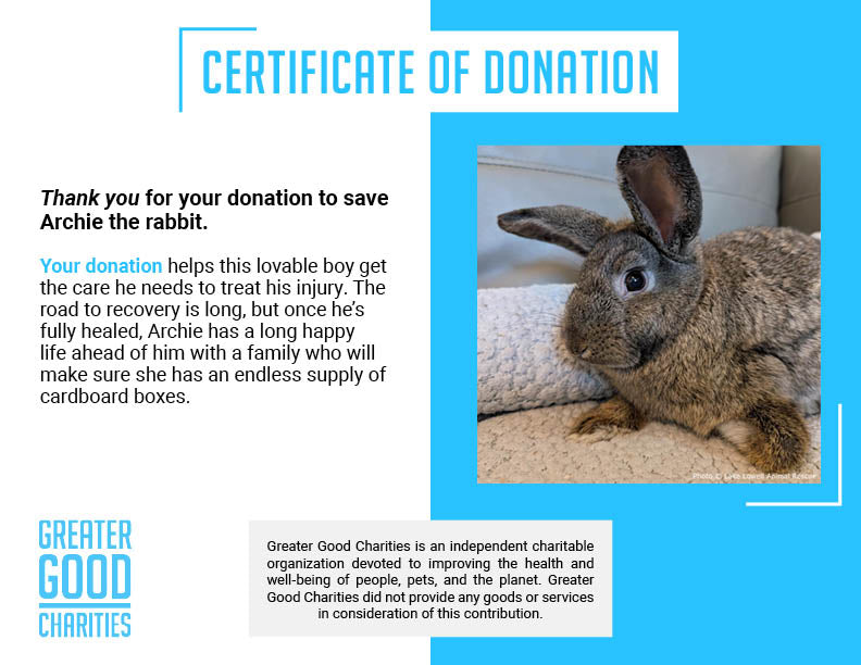 Funded: Help Baby Bunny with Injured Leg Get Care He Needs to Hop Again