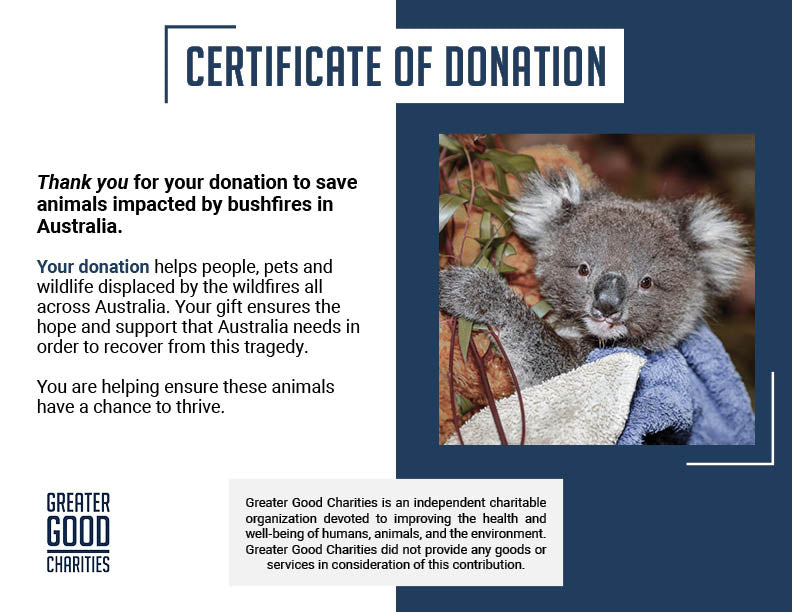 URGENT: Bushfires Ravage People & Wildlife In Australia