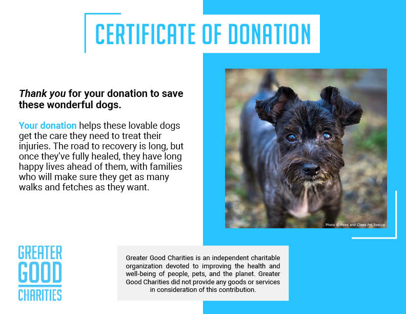 Funded: Help Over 100 Dogs Rescued from Horrible Conditions Get Urgent Medical Care