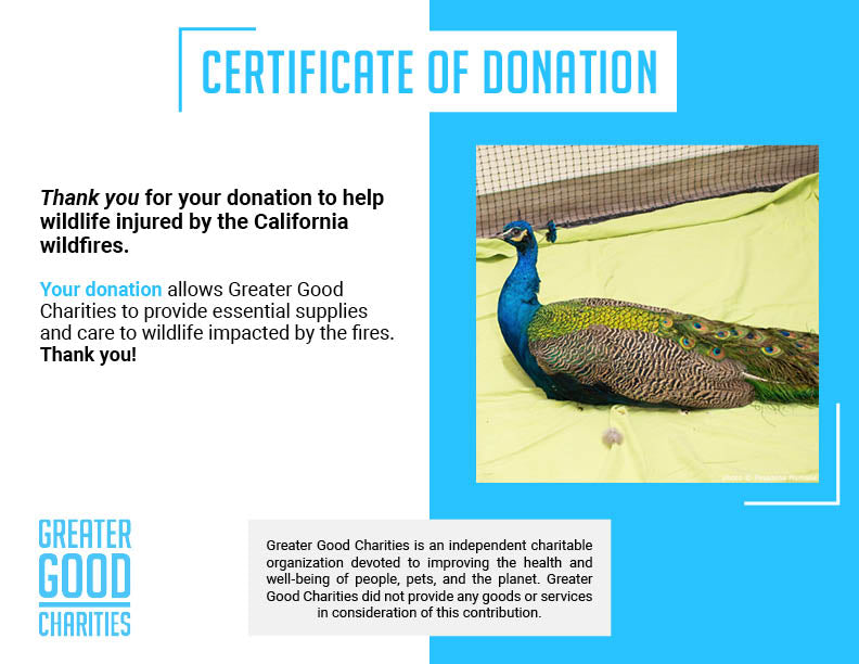 URGENT: Help Wildlife Injured in the Southern California Wildfires