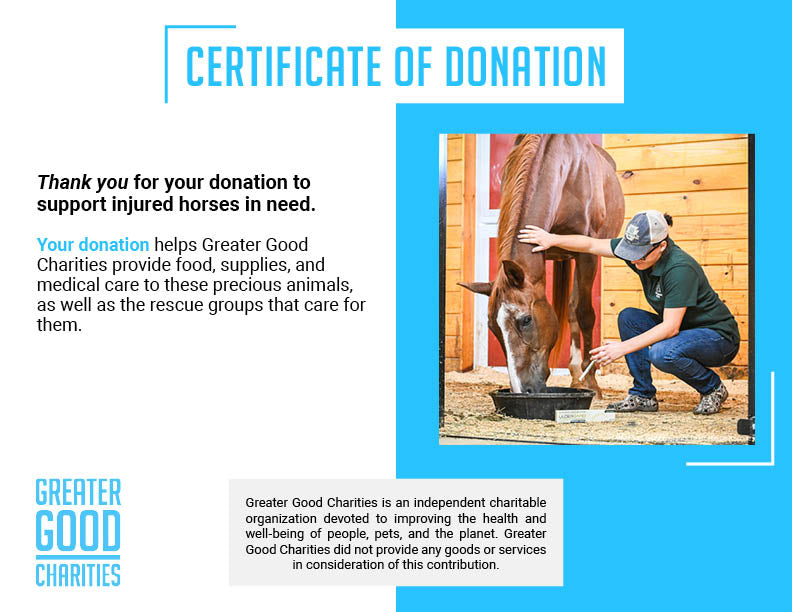 Help Feed and Care for Rescued Horses