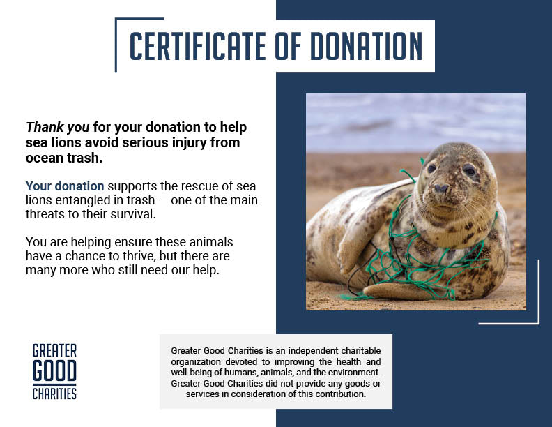 Save Seals & Other Marine Life From Ocean Trash and Pollution
