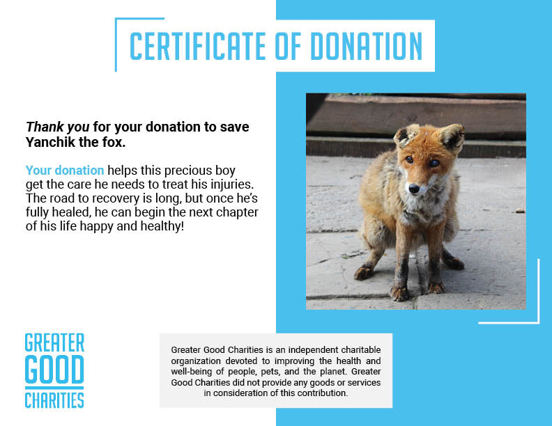 Funded: Yanchik the Fox Needs Nurturing