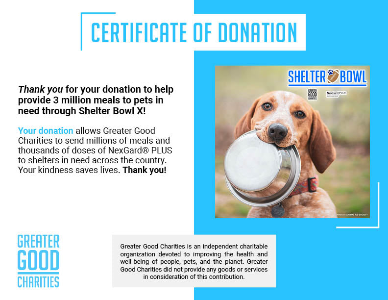 Shelter Bowl 2025: Feed Hungry Shelter Pets | Donations Matched!