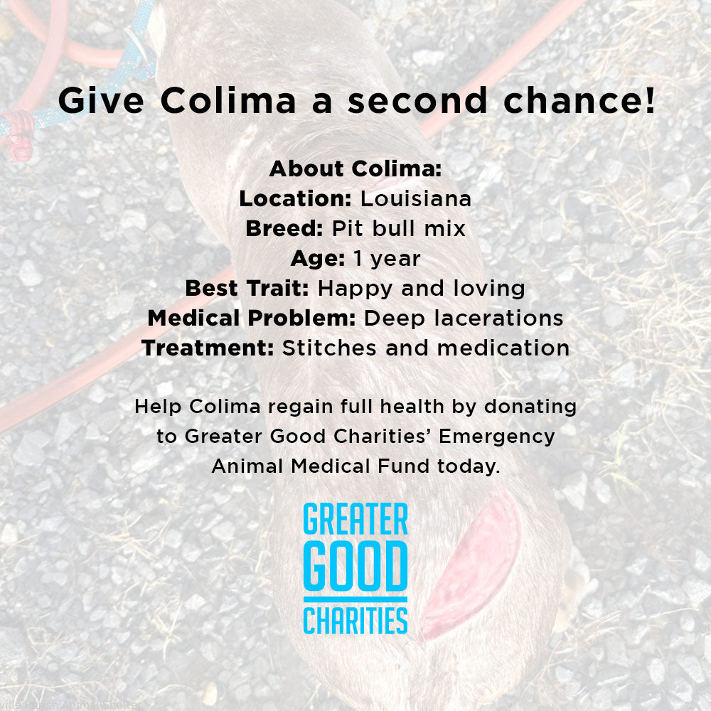 Funded - Help Colima Heal After Trauma & Abuse