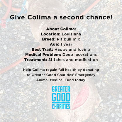 Funded - Help Colima Heal After Trauma & Abuse