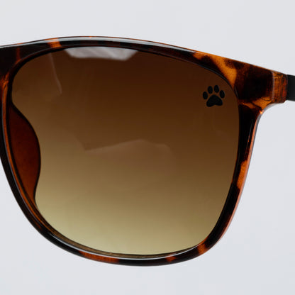 Sunglasses with tortoiseshell frame and brown lens on a light gray background