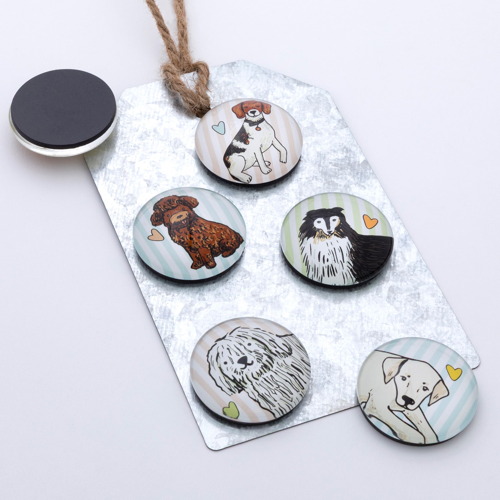 A set of 6 dog dome magnets on a metal gift tag, against a white background.