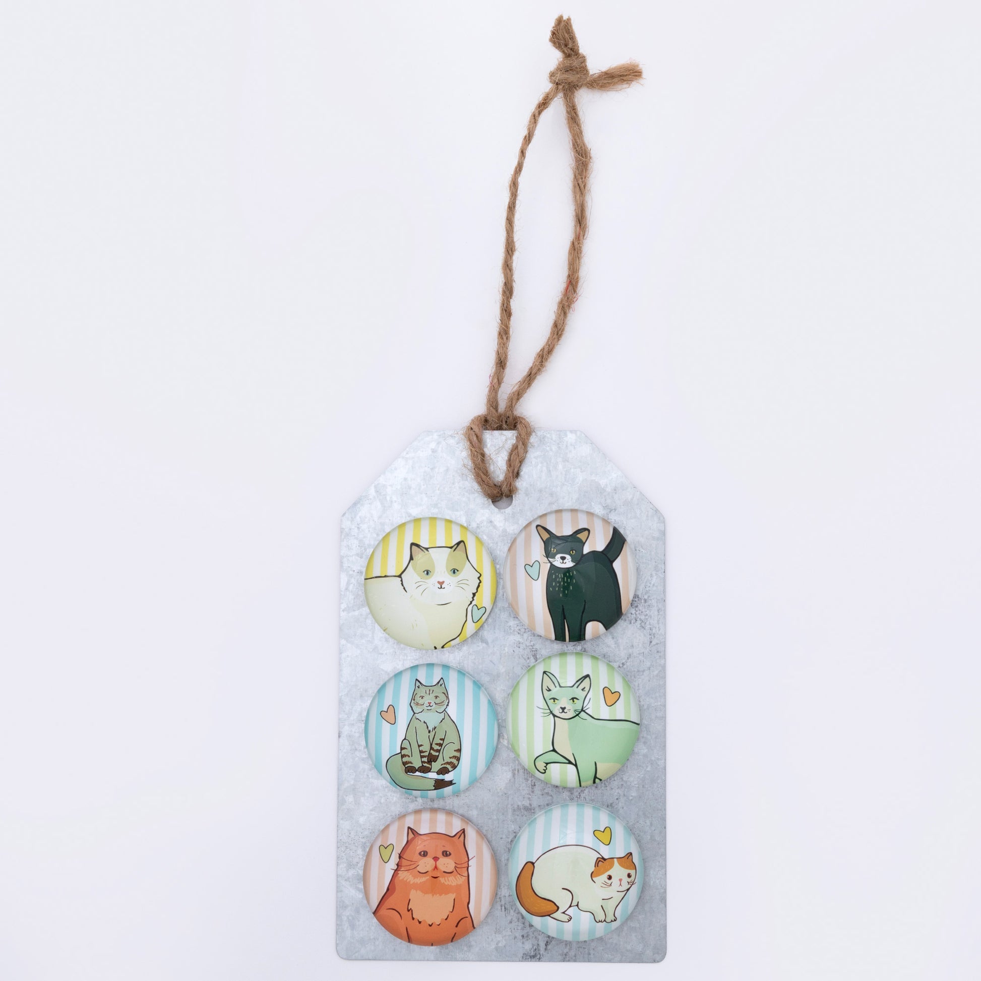 A set of 6 cat dome magnets on a metal gift tag, against a white background.