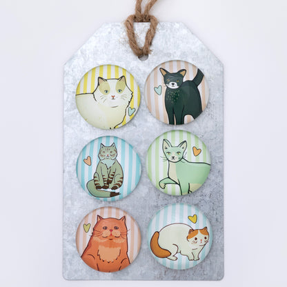 Set of six cat-themed magnets on a metal tag with a white background