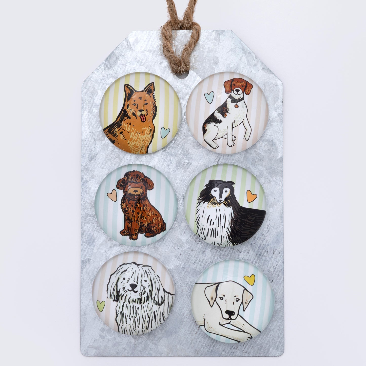 A set of 6 dog dome magnets on a metal gift tag, against a white background.