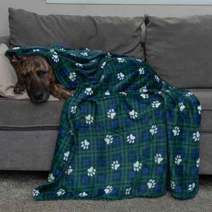 A dog rests on a gray couch under a green plaid blanket with white paw prints.