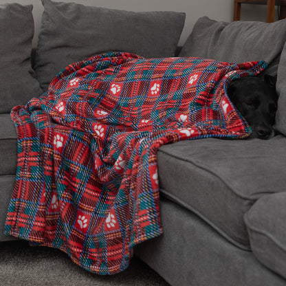 A black dog rests on a gray fabric sofa, partially covered by a red plaid blanket with teal and white paw print patterns.