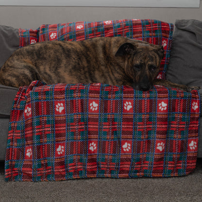 A dog lies on a red and teal plaid pet blanket with white paw prints, draped over a gray armchair in a home setting.