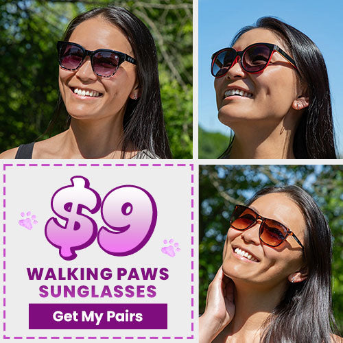 $9 Walking Paws Sunglasses promotion from The Animal Rescue Site and GreaterGood. Proceeds help support shelter pets and more. Black cat-eye sunglasses, red oversized frames, brown gradient-lens sunglasses for sunny days.