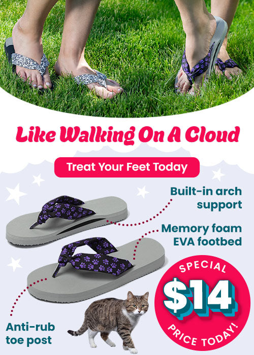 $14 Memory Foam Flip-Flops: Gray arch support sandals with purple paw-print straps. By The Animal Rescue Site and GreaterGood. Proceeds help support shelter pets and more.