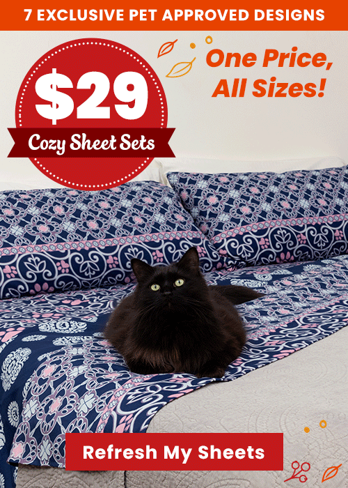 Refresh your bedroom with cozy sheet sets for just $29, with one price for all sizes. Proceeds help support shelter pets and more through The Animal Rescue Site and GreaterGood.