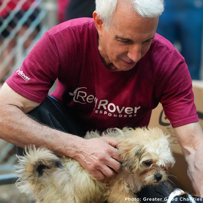 Keep Domestic Violence Victims and Their Pets Together