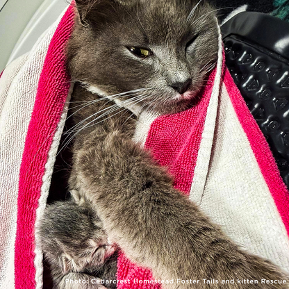 Pauline Needs Your Help After a Difficult Delivery