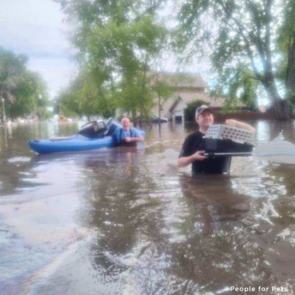 EMERGENCY FLIGHT: Help Fly Pets After Catastrophic Floods