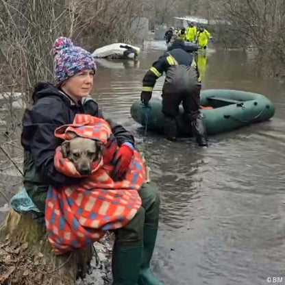 URGENT: Help Evacuate Shelter Pets From Flood Waters