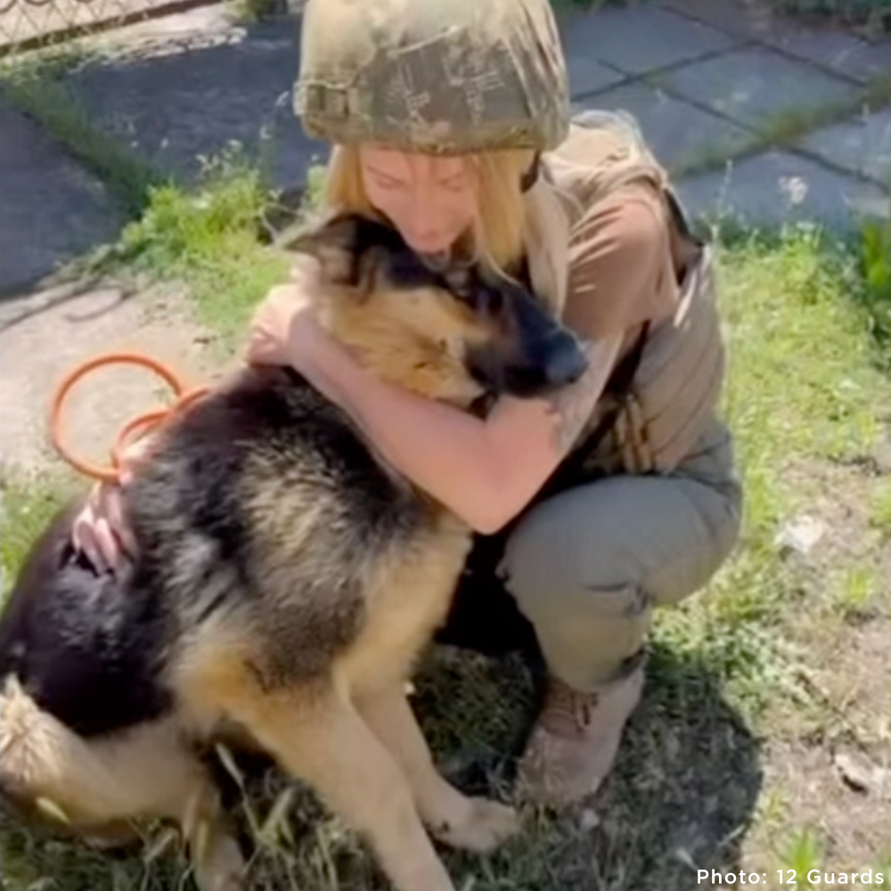 Crisis in Ukraine: Help Evacuate Pets From the Frontlines