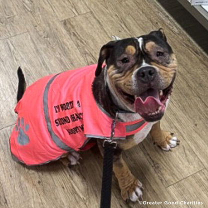 Emergency Flight to Freedom: Fly Shelter Pets Out of California Wildfires