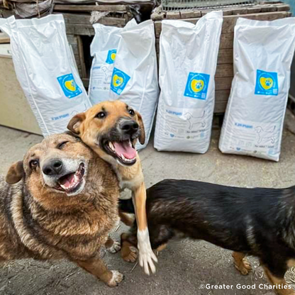 Ukraine Crisis: Feed Pets in Need