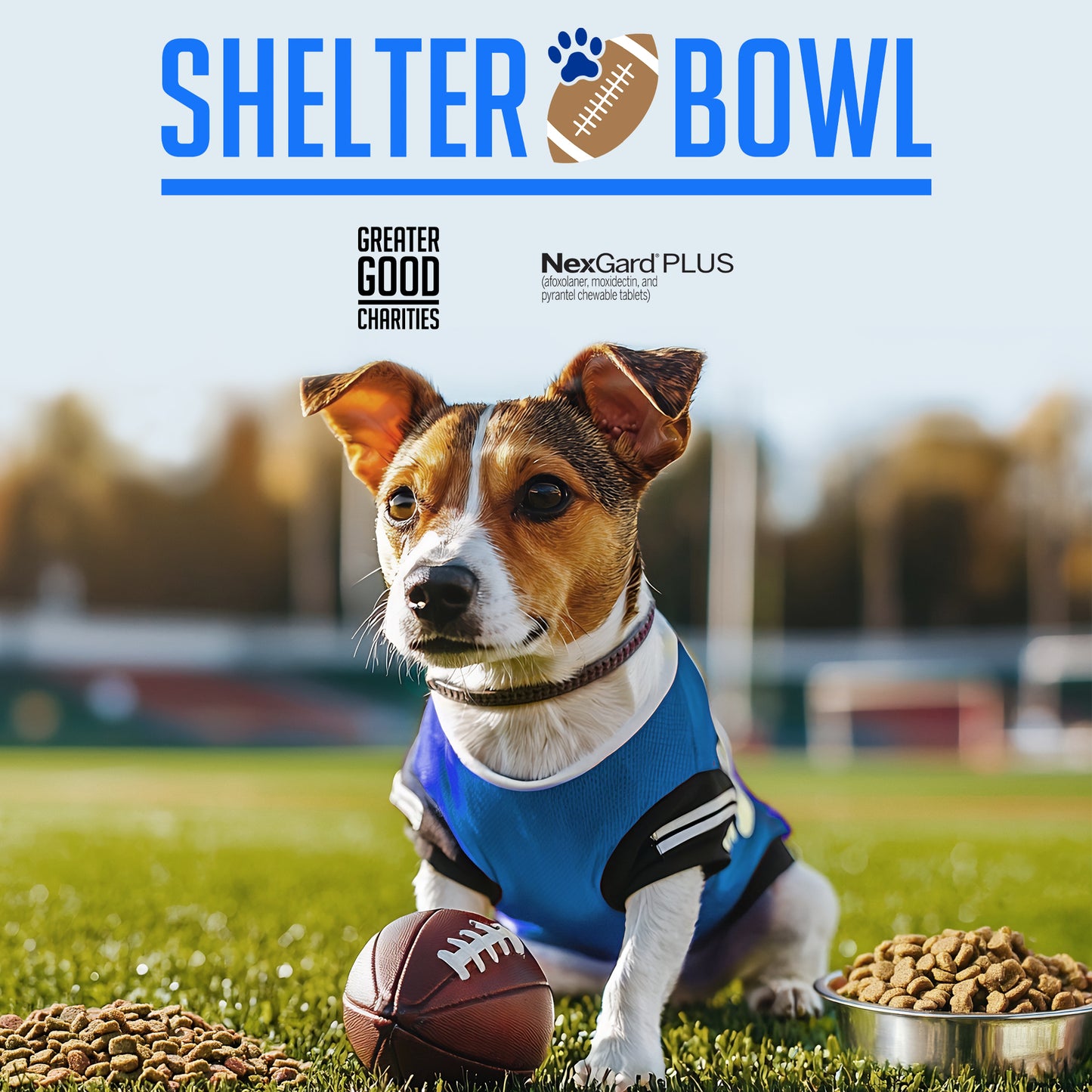 Shelter Bowl 2025: Feed Hungry Shelter Pets | Donations Matched!