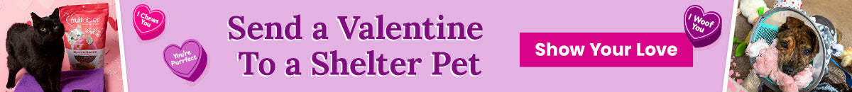 Will You Be My Valentine donation from The Animal Rescue Site and GreaterGood, featuring shelter dog in floral blanket, black cat on purple bed, and salmon pet treats supporting rescued pets.