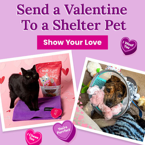 Will You Be My Valentine donation from The Animal Rescue Site and GreaterGood, featuring shelter dog in floral blanket, black cat on purple bed, and salmon pet treats supporting rescued pets.