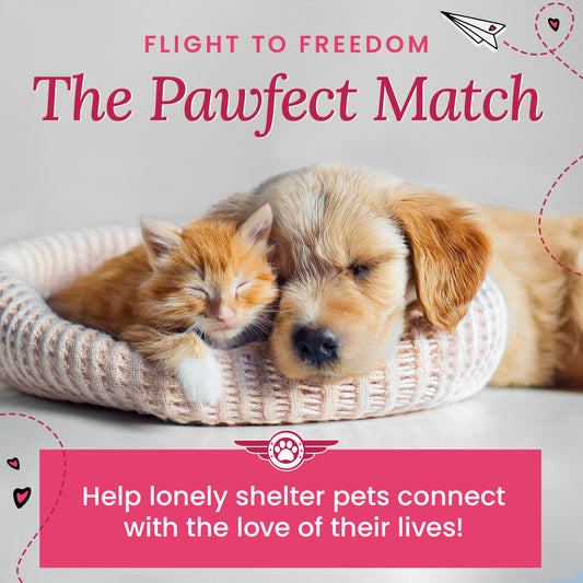 Help Fly Pets to Freedom